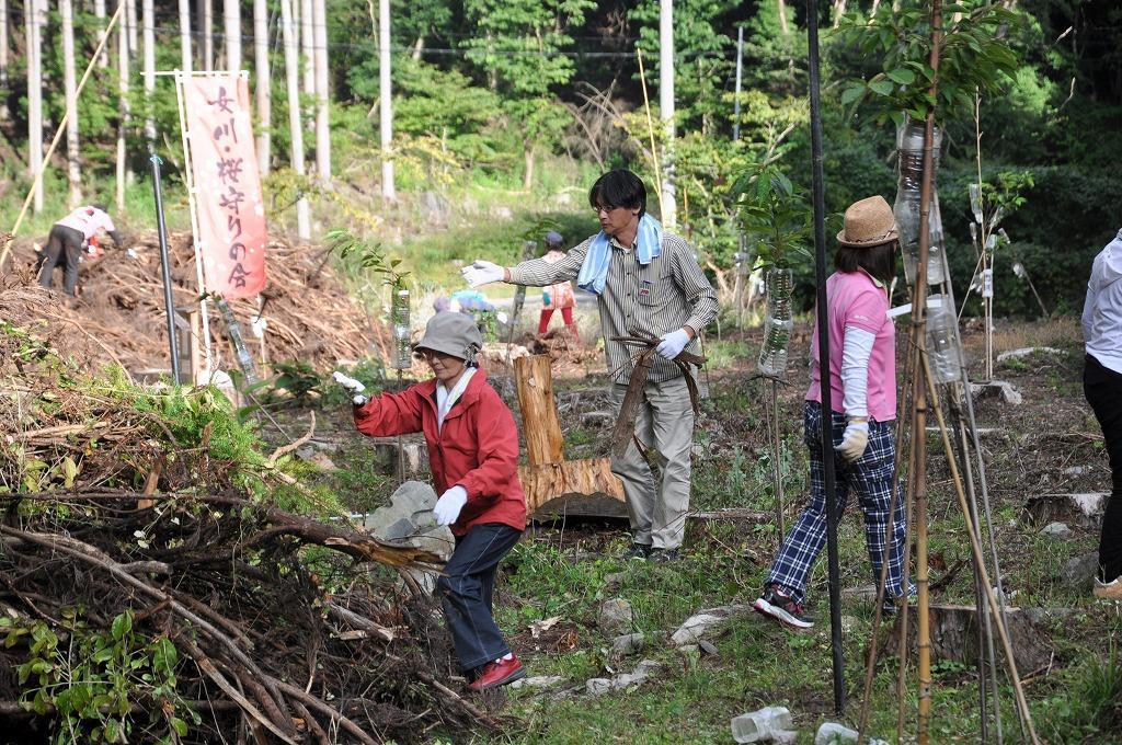画像を等倍で表示します 画像